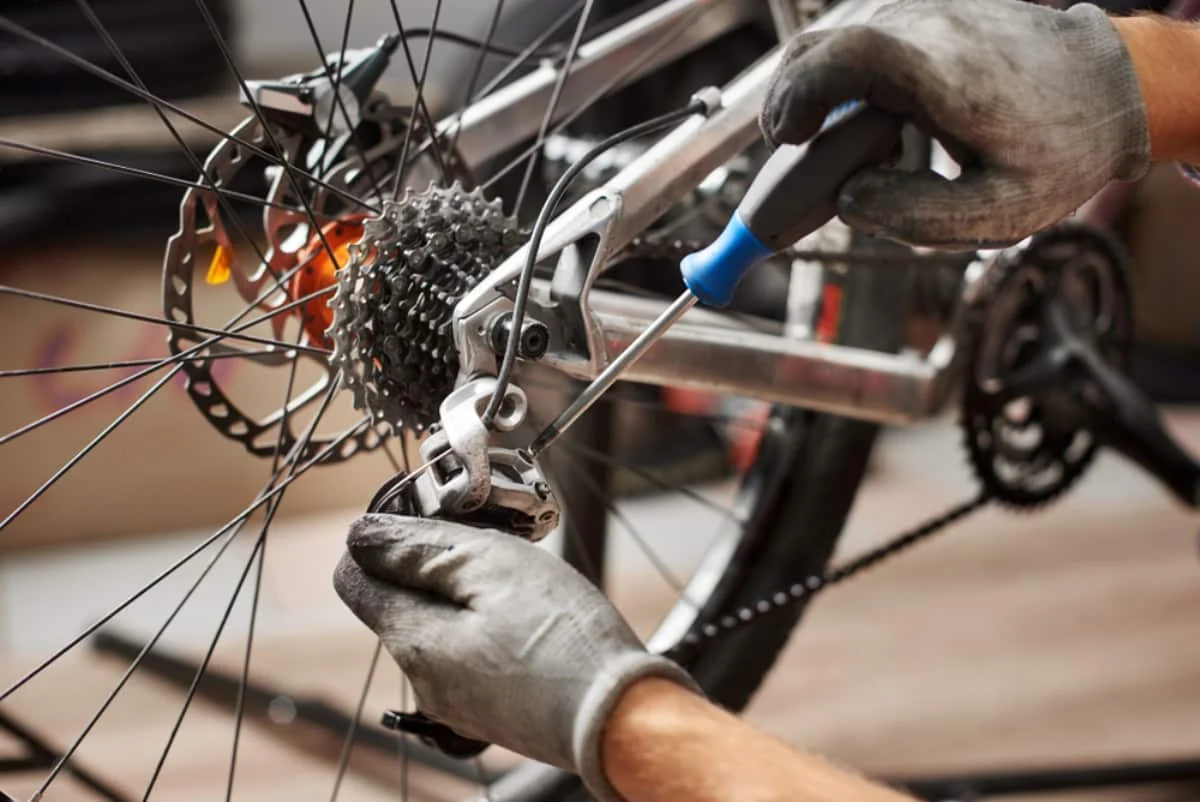 Expert Wheel Truing & Alignment Services